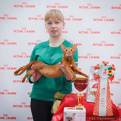 �������� ����� 18-19 �����