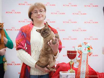 �������� ����� 18-19 �����