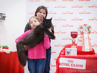 �������� ����� 18-19 �����