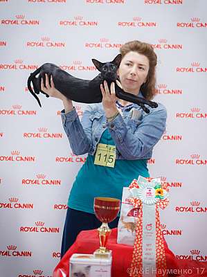 �������� ����� 18-19 �����