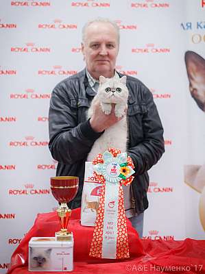 �������� ����� 18-19 �����