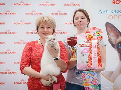 �������� ����� 18-19 �����