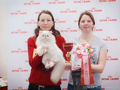 �������� ����� 18-19 �����