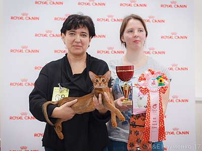 �������� ����� 18-19 �����