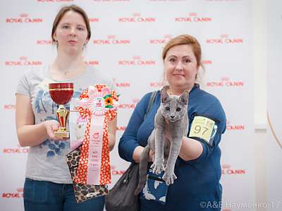 �������� ����� 18-19 �����