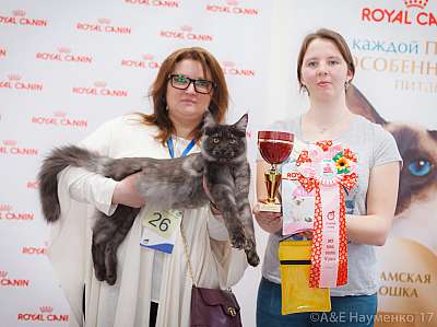 �������� ����� 18-19 �����