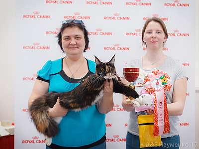 �������� ����� 18-19 �����