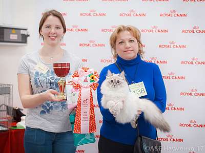 �������� ����� 18-19 �����