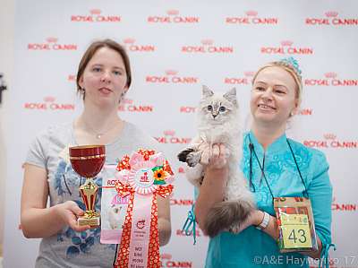 �������� ����� 18-19 �����