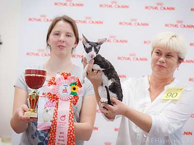 �������� ����� 18-19 �����