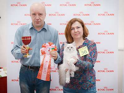 �������� ����� 18-19 �����