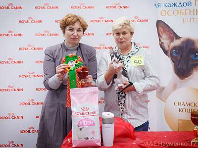 �������� ����� 18-19 �����