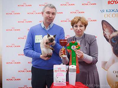 �������� ����� 18-19 �����