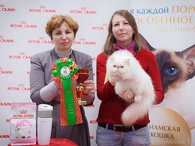 �������� ����� 18-19 �����