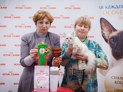 �������� ����� 18-19 �����