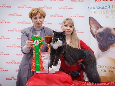 �������� ����� 18-19 �����