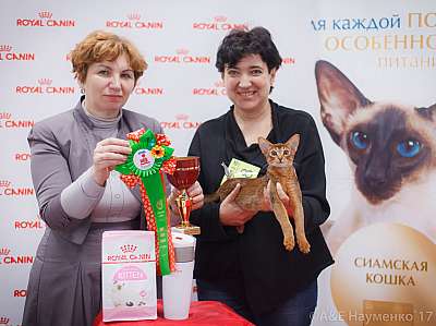 �������� ����� 18-19 �����