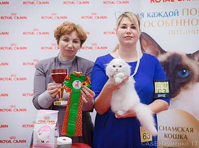 �������� ����� 18-19 �����