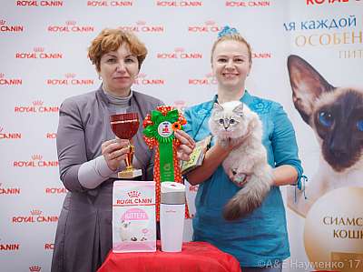 �������� ����� 18-19 �����