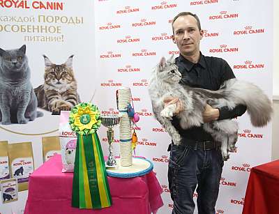 �������� ����� 26-27 ������� �������� ����� 26-27 ������� 10-52-169A8984.jpg