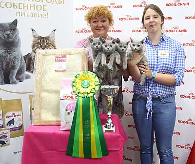 �������� ����� 26-27 ������� �������� ����� 26-27 ������� 13-85-169A8956.jpg