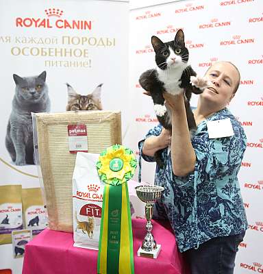 �������� ����� 26-27 ������� �������� ����� 26-27 ������� 15-171-169A8936.jpg