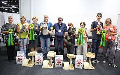 �������� ����� 26-27 ������� �������� ����� 26-27 ������� 16-169A9011.jpg