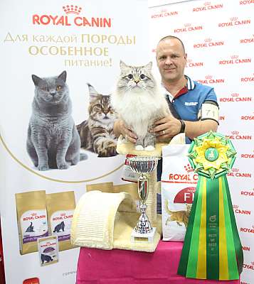 �������� ����� 26-27 ������� �������� ����� 26-27 ������� 2-71-169A9029.jpg