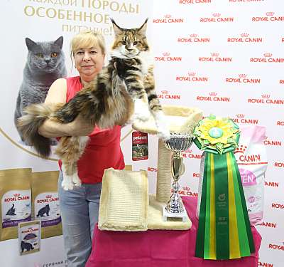 �������� ����� 26-27 ������� �������� ����� 26-27 ������� 9-194-169A8970.jpg