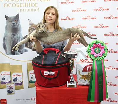 �������� ����� 26-27 ������� �������� ����� 26-27 ������� 1-205-169A0072 (3).jpg