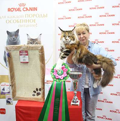 �������� ����� 26-27 ������� �������� ����� 26-27 ������� 10-194-169A0019 (3).jpg