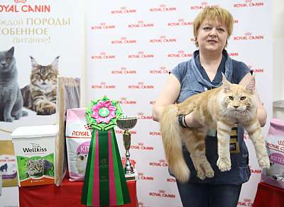 �������� ����� 26-27 ������� �������� ����� 26-27 ������� 11-27-169A9999 (4).jpg