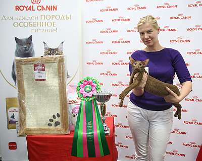 �������� ����� 26-27 ������� �������� ����� 26-27 ������� 12-176-169A9997 (4).jpg