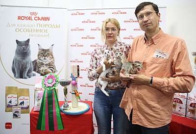 �������� ����� 26-27 ������� �������� ����� 26-27 ������� 13-162-169A9984 (4).jpg