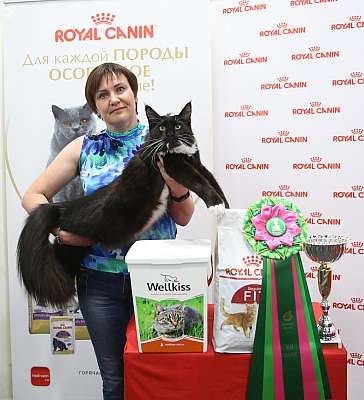 �������� ����� 26-27 ������� �������� ����� 26-27 ������� 14-43-169A9979 (4).jpg