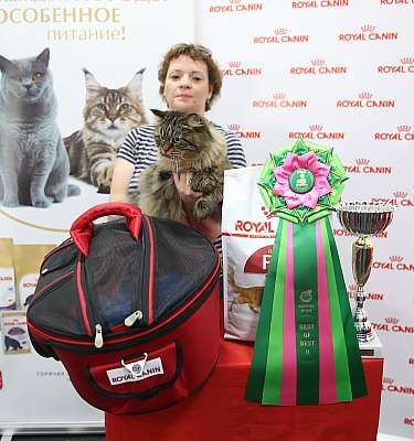 �������� ����� 26-27 ������� �������� ����� 26-27 ������� 2-74-169A0071 (3).jpg