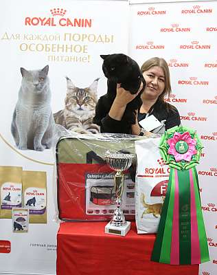 �������� ����� 26-27 ������� �������� ����� 26-27 ������� 3-98-169A0064 (3).jpg