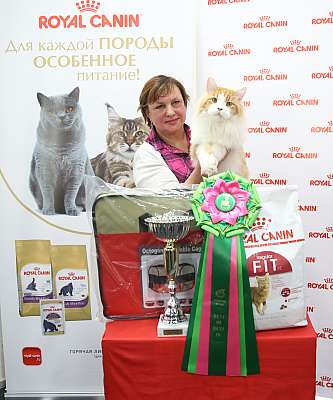 �������� ����� 26-27 ������� �������� ����� 26-27 ������� 4-26-169A0058 (3).jpg