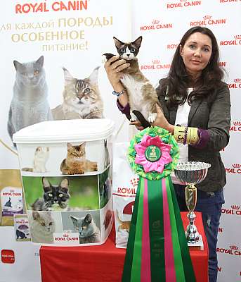 �������� ����� 26-27 ������� �������� ����� 26-27 ������� 5-133-169A0040 (3).jpg