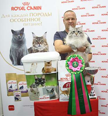 �������� ����� 26-27 ������� �������� ����� 26-27 ������� 6-71-169A0028 (3).jpg