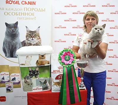 �������� ����� 26-27 ������� �������� ����� 26-27 ������� 7-188-169A0031 (3).jpg