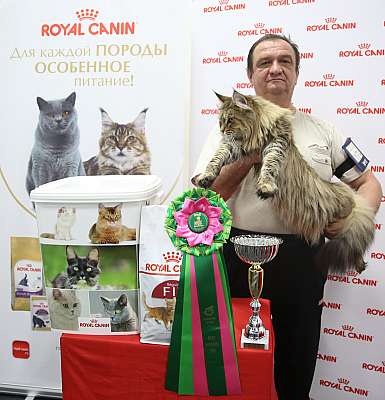 �������� ����� 26-27 ������� �������� ����� 26-27 ������� 8-174-169A0024 (3).jpg