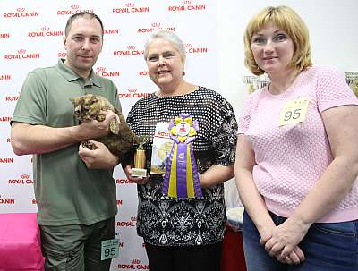 �������� ����� 26-27 ������� 3-95-169A8813.jpg