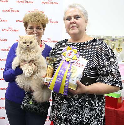 �������� ����� 26-27 ������� 4-84-169A8816.jpg