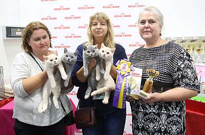 �������� ����� 26-27 ������� 6-86-169A8825.jpg