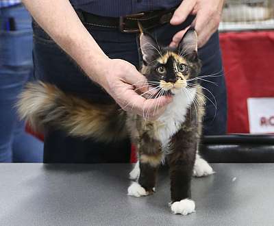 �������� ����� 26-27 ������� 6-34-169A7311.jpg