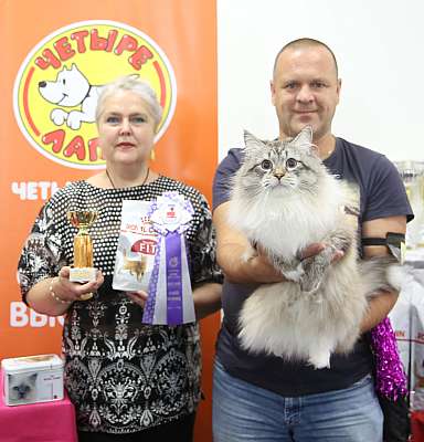 �������� ����� 26-27 ������� 3-71-169A9431.jpg