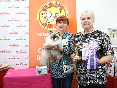 �������� ����� 26-27 ������� 4-79-169A9429.jpg