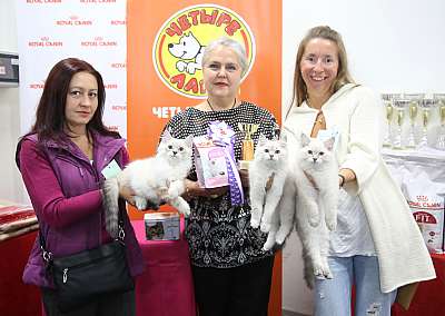 �������� ����� 26-27 ������� 8-192-169A9435.jpg