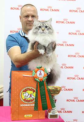 �������� ����� 26-27 ������� 3-71-169A8607.jpg